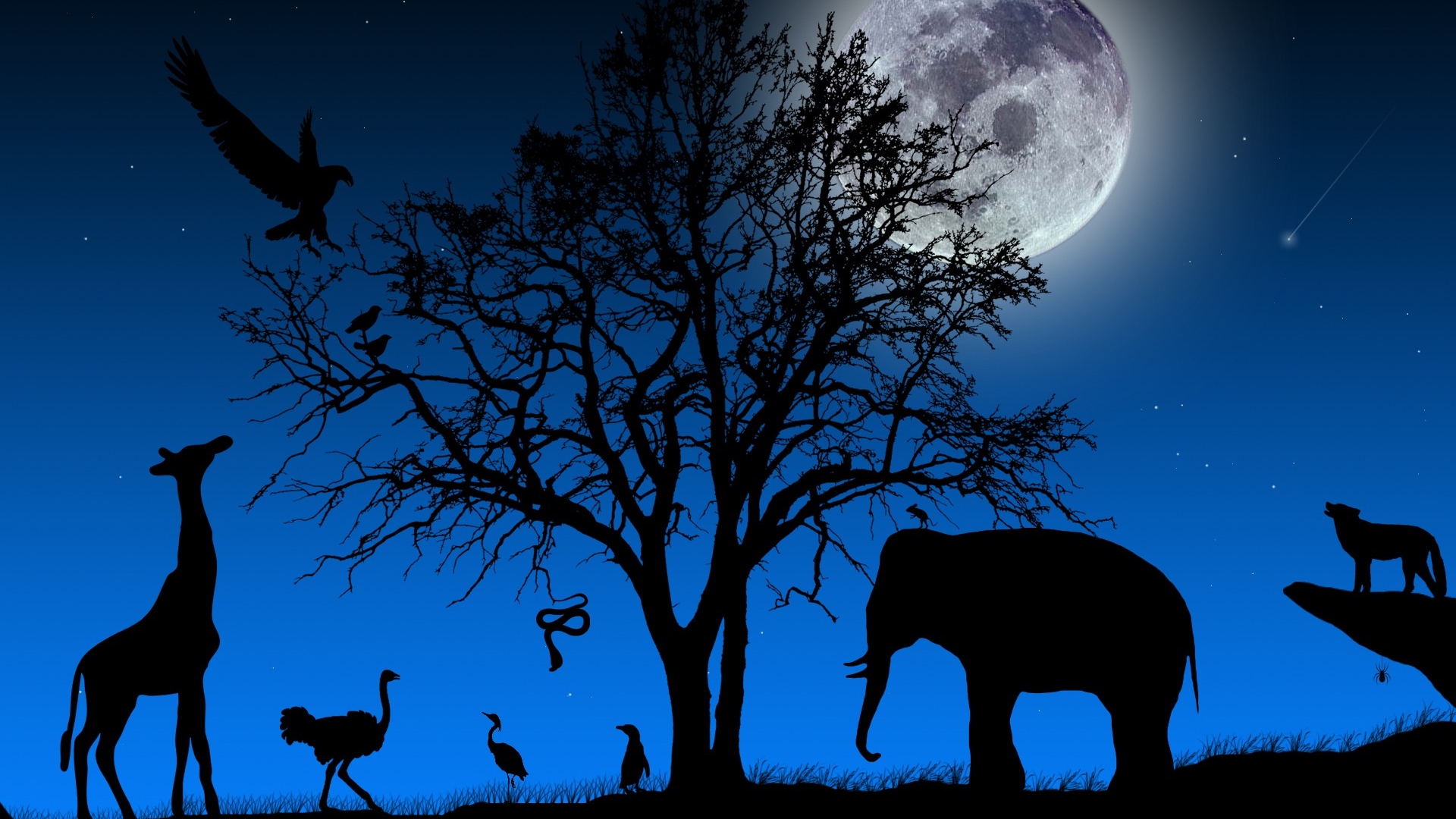 Save the animals