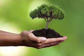 Save the earth