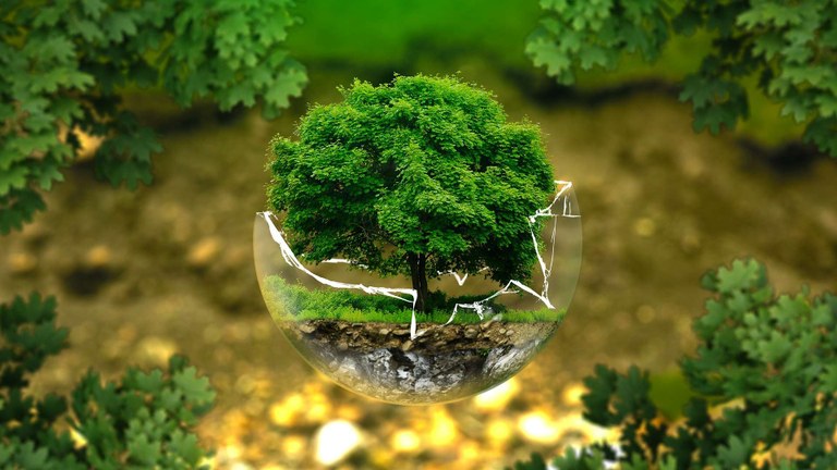 Save the earth